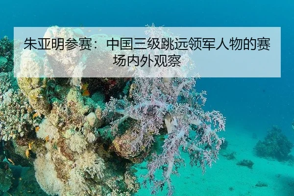 朱亚明参赛：中国三级跳远领军人物的赛场内外观察
